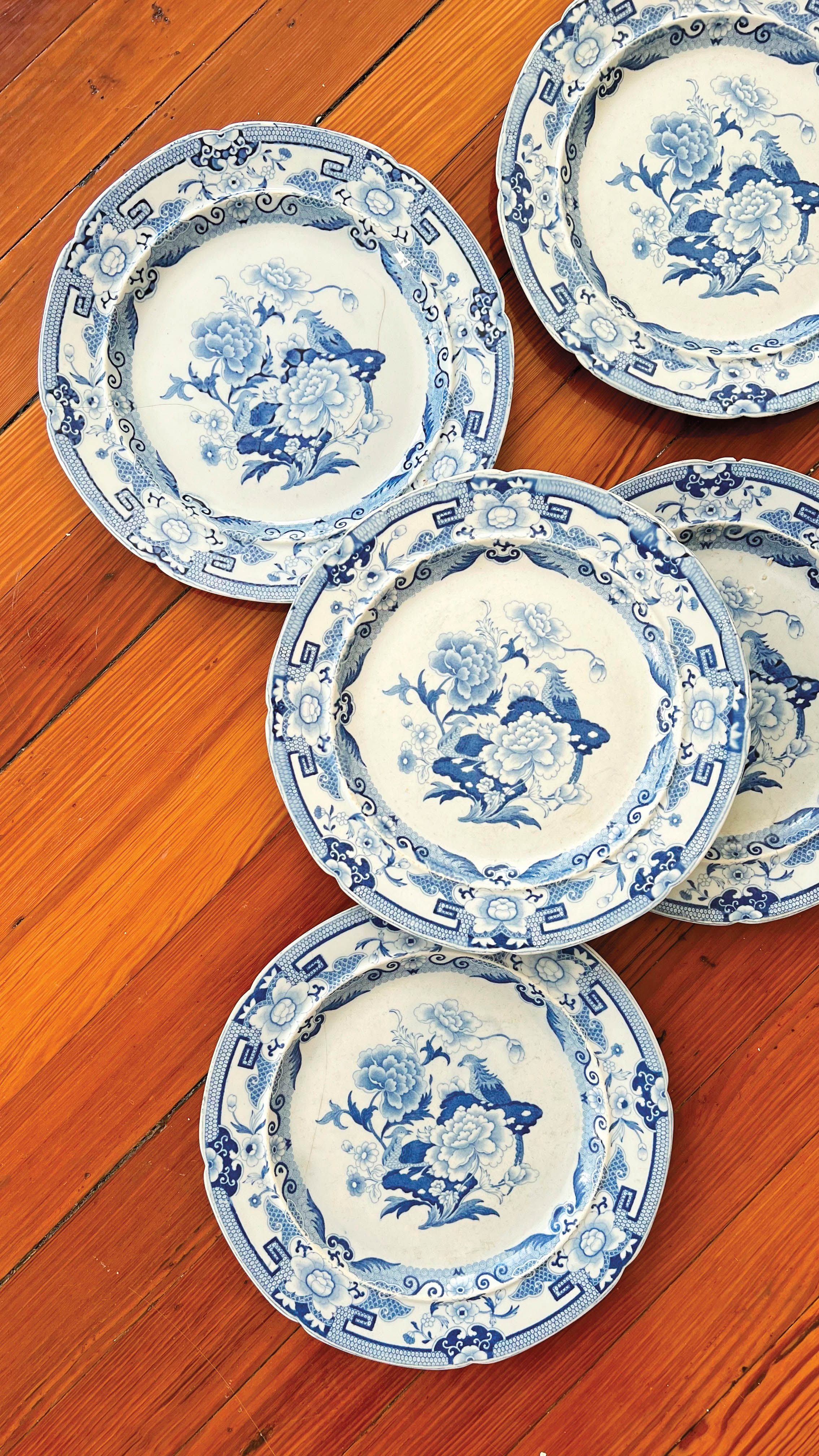 antique plates with a blue floral pattern