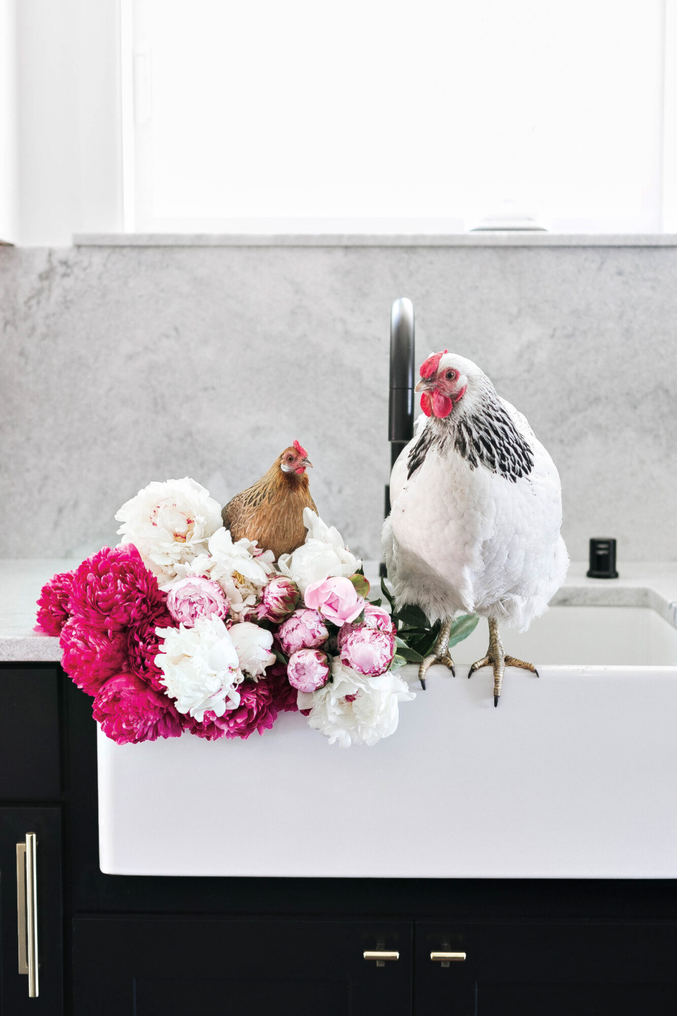 roosters and flowers