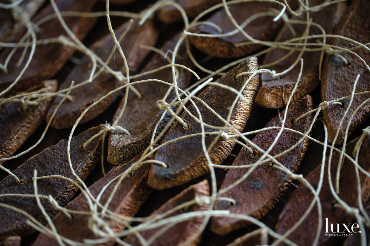 mahobany pods close up and tied together