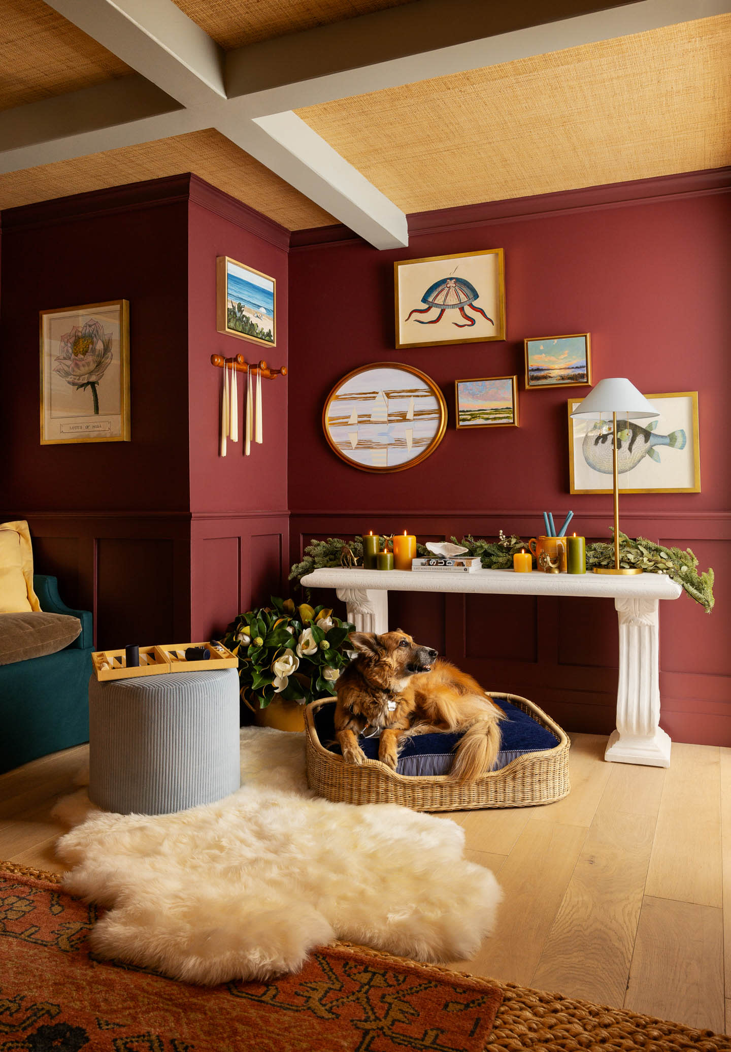 a dog sits in a holiday decorated room