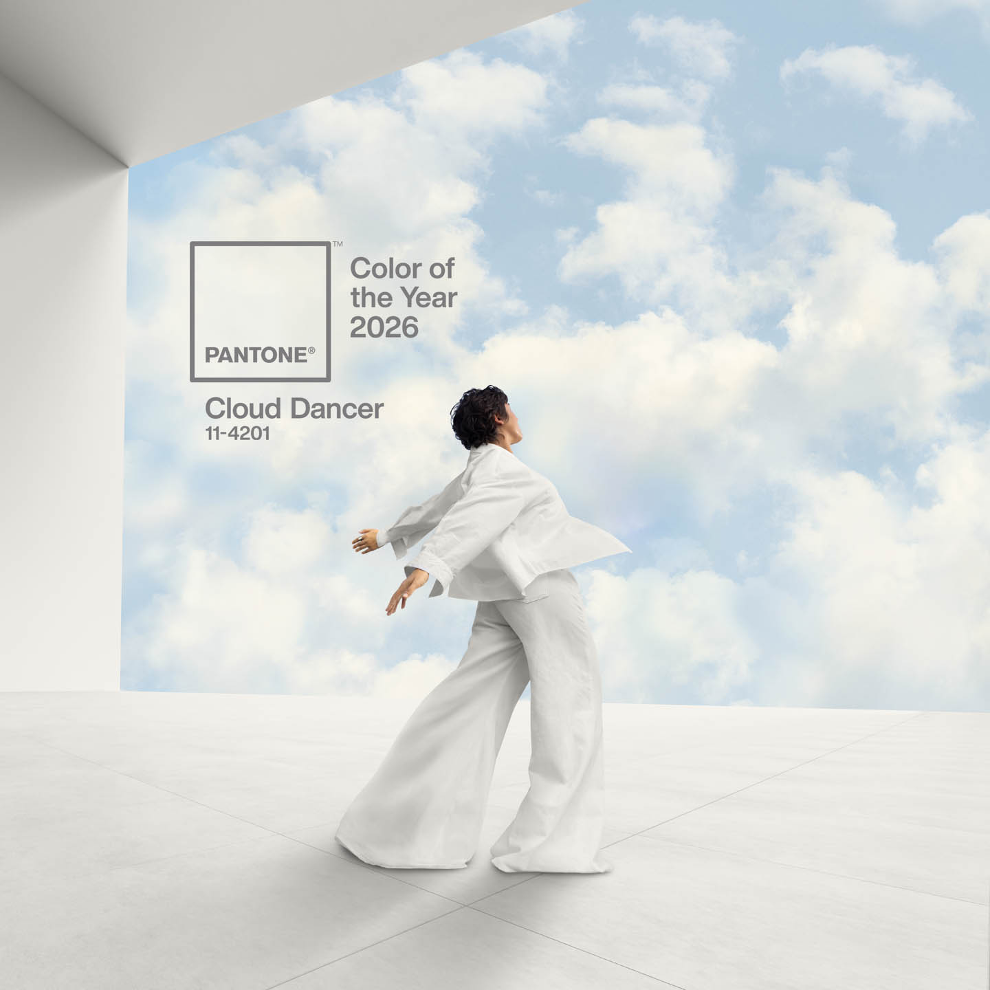 Color Of The Year 2026 Pantone 11-4201 Cloud Dancer