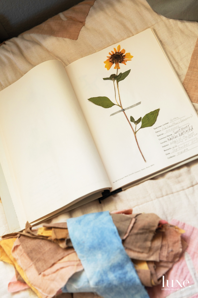 Ambrose uses plants and found object to produce her own natural dyes.