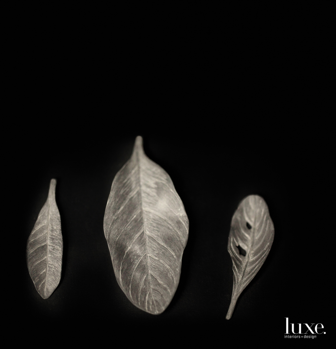 three realistic sculptures of leaves on a pure black background