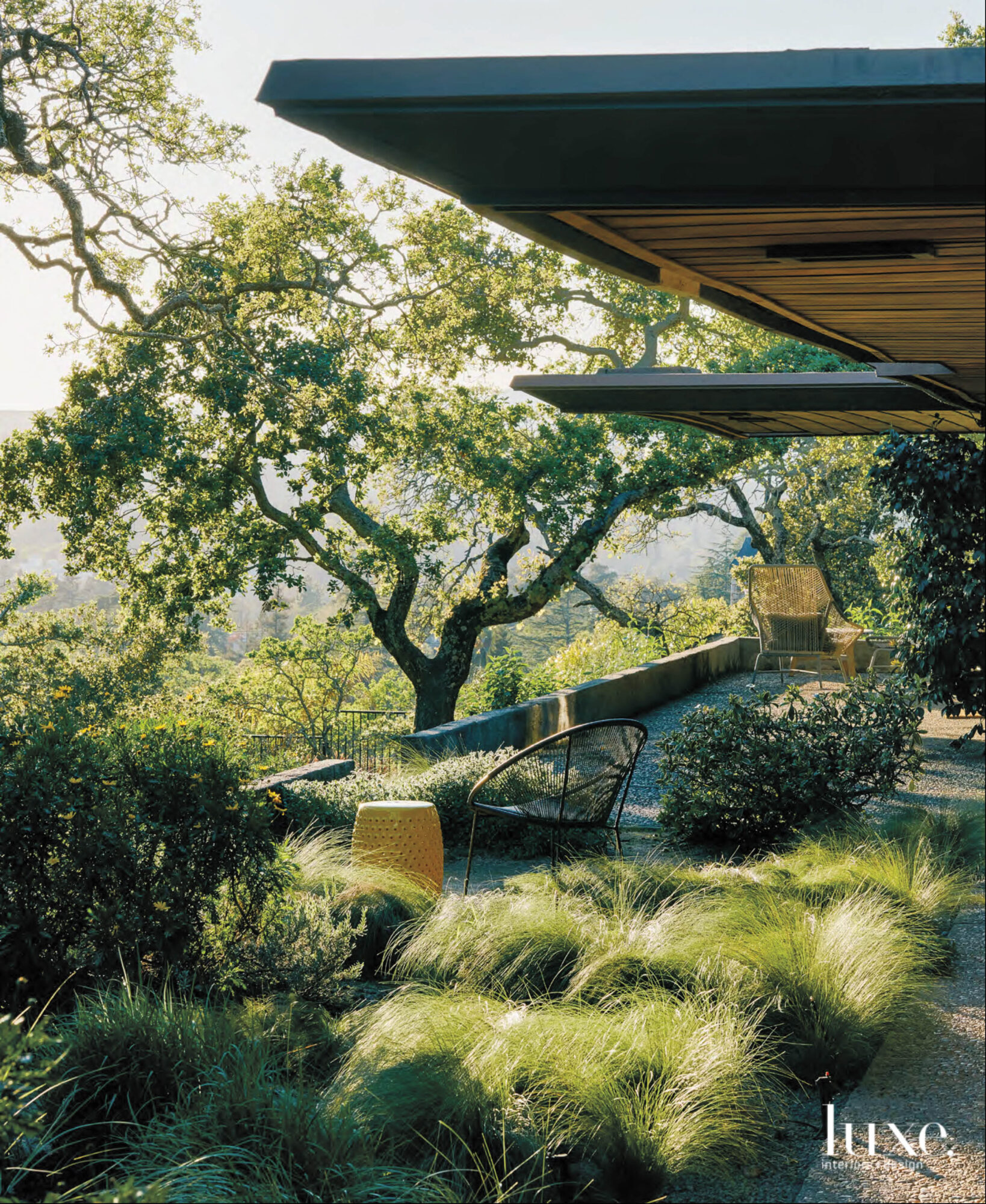 Outdoor space in the wine country