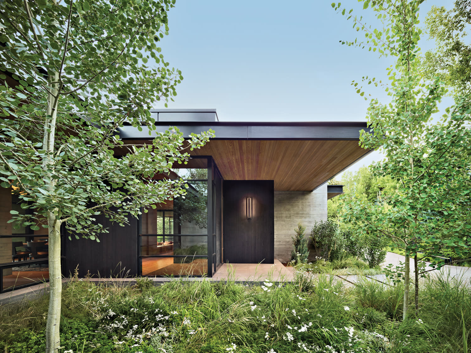 modern home exterior surrounded by Aspen trees
