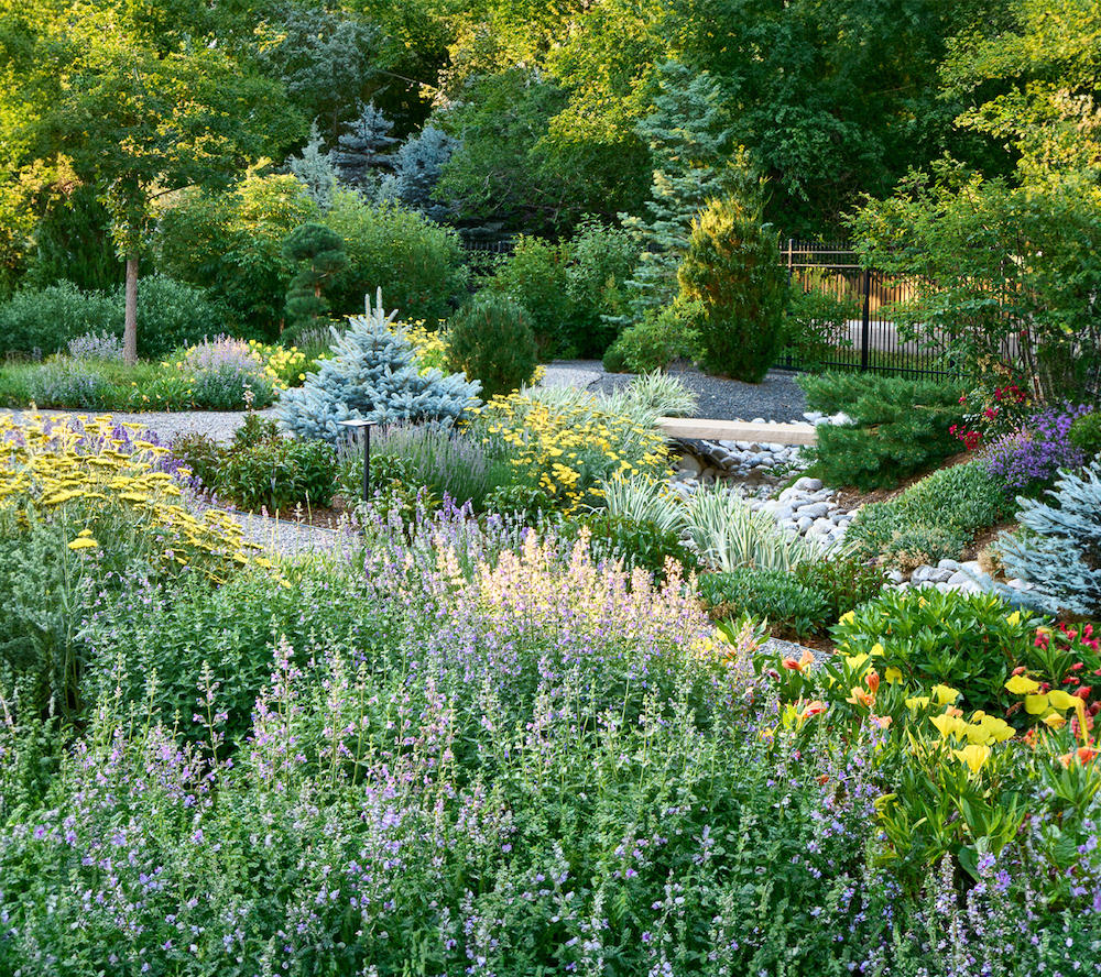 A diverse garden with various plants, including flowers, shrubs, and trees.