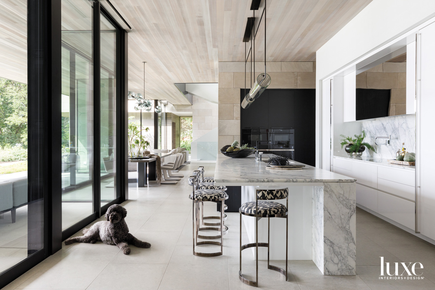 A gray-white-and-black kitchen with high-gloss white cabinetry. A dog lies on the floor looking out floor-to-ceiling windows.