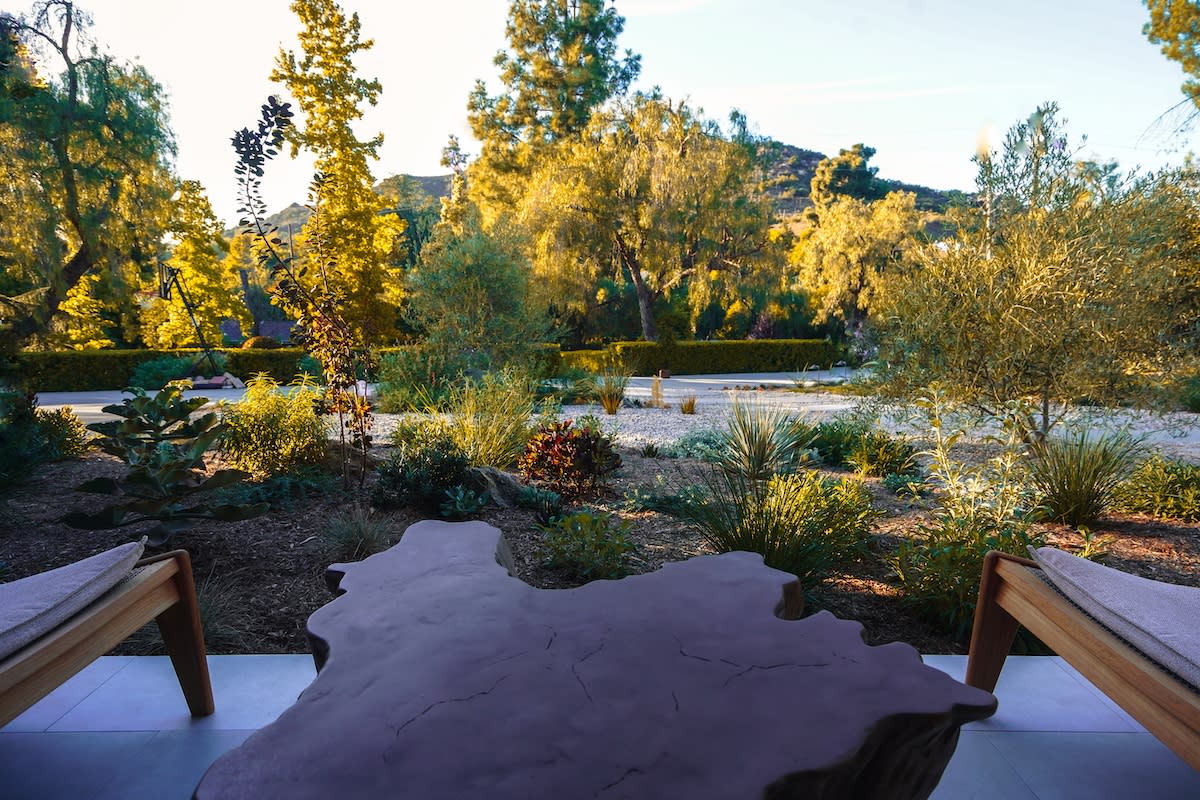 A patio featuring two chairs and a small table, surrounded by greenery and sunlight