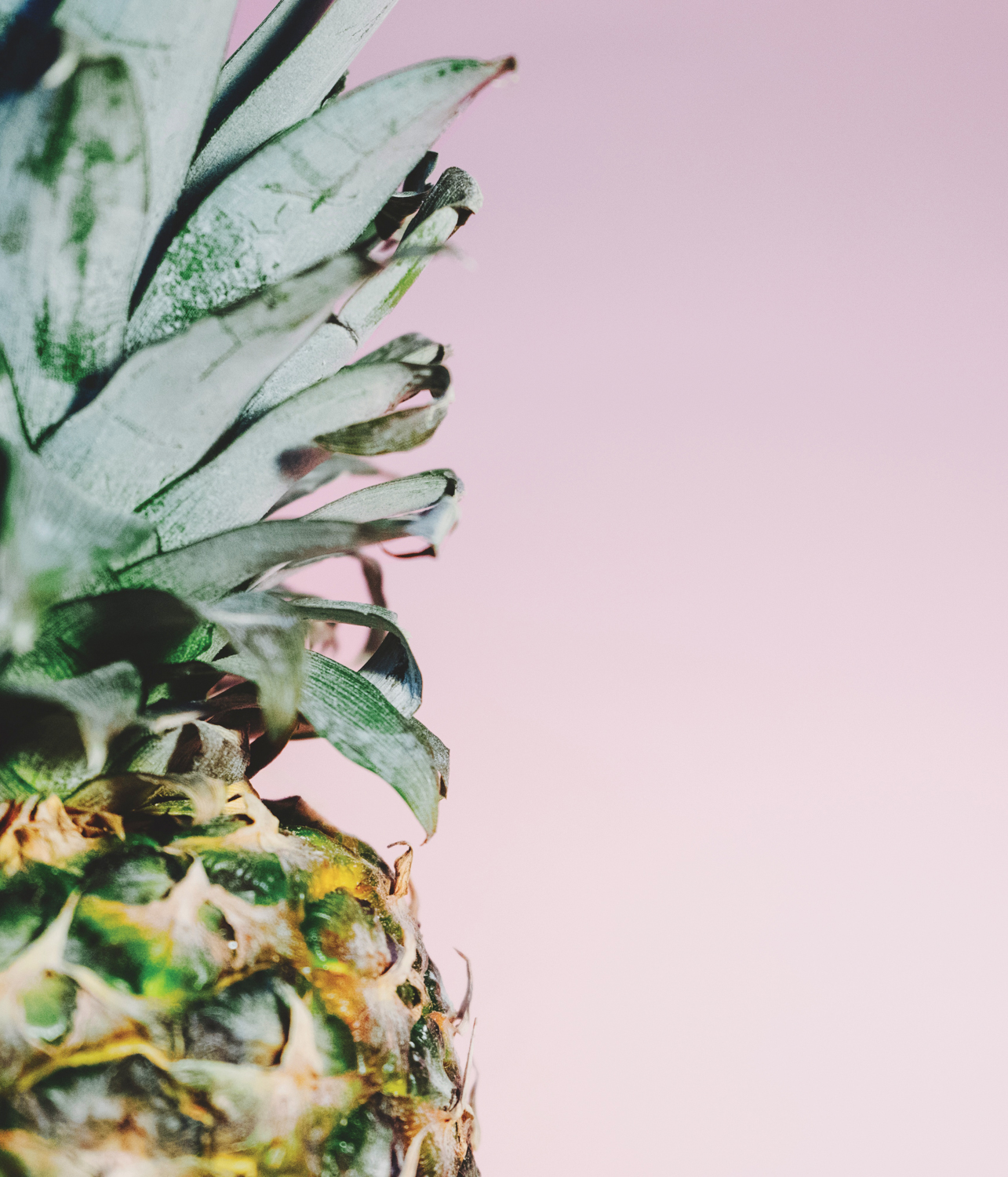 shape of pineapple against pink background to represent plant leather