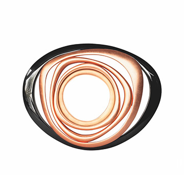 Fine_Lines_COM17_Trend_demurodasellipsis1506443364736