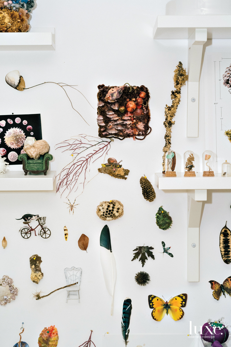 Nature findings and other collected items serve as inspiration on the walls of Gross' studio.