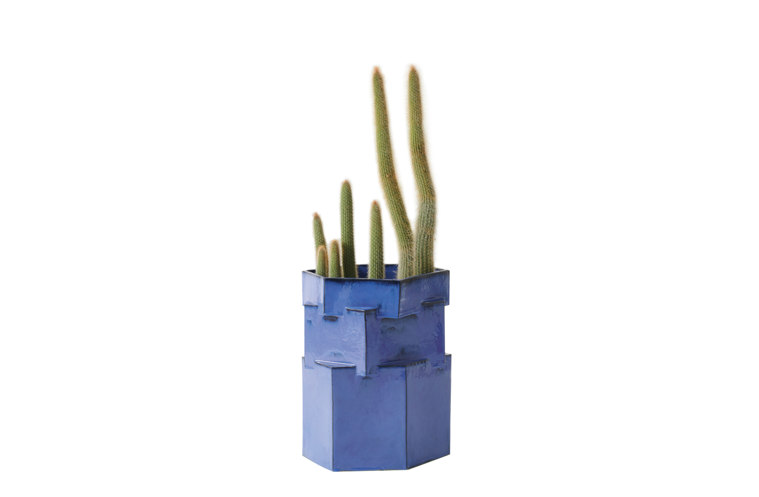 San Francisco home store March planter