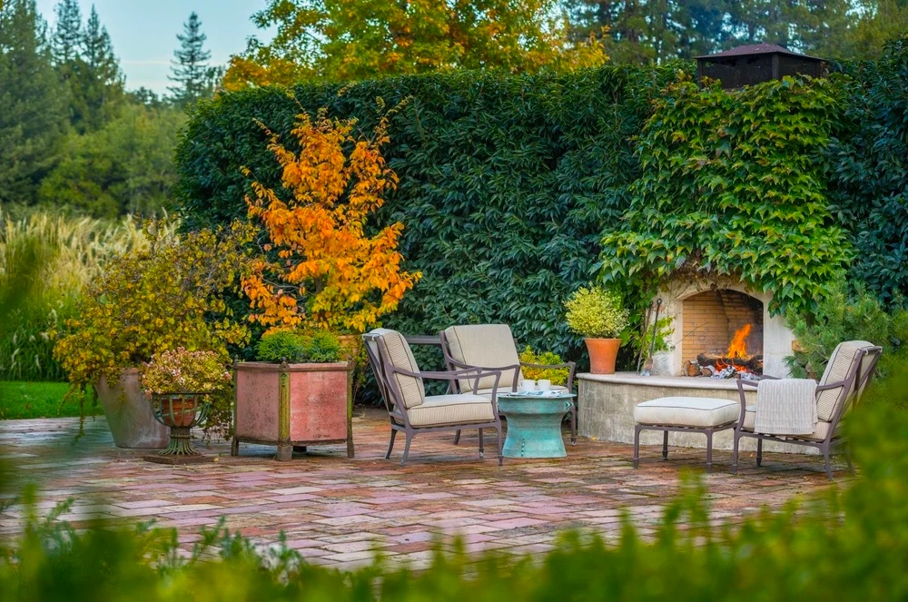 A cozy patio features cushioned chairs around a table, with an outdoor fireplace lit under a lush ivy-covered wall, and vibrant autumn foliage nearby.