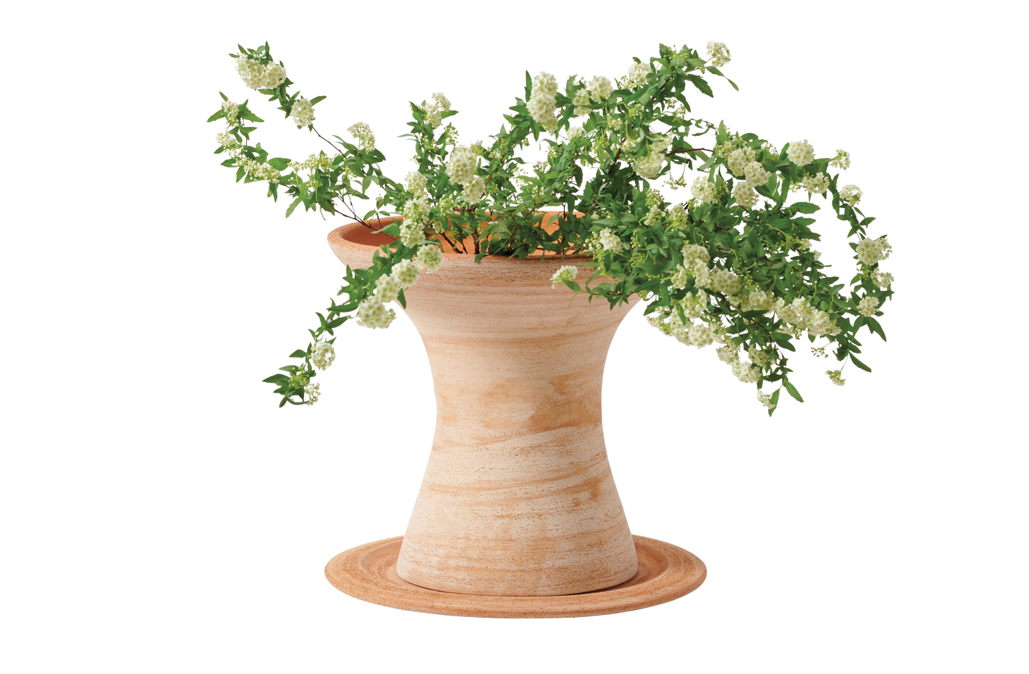 terracotta planter with greenery coming out of it