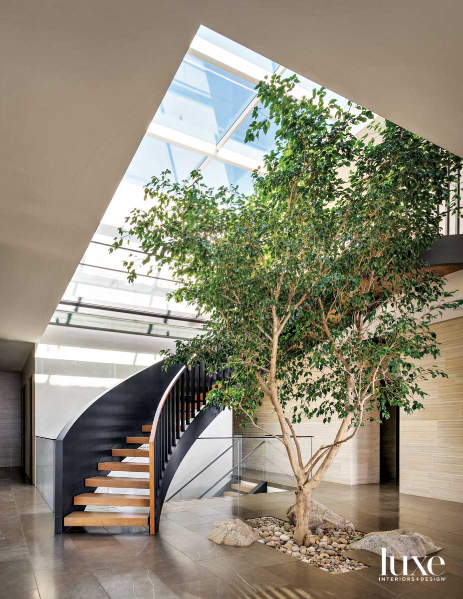 A tree grows inside the double-height foyer