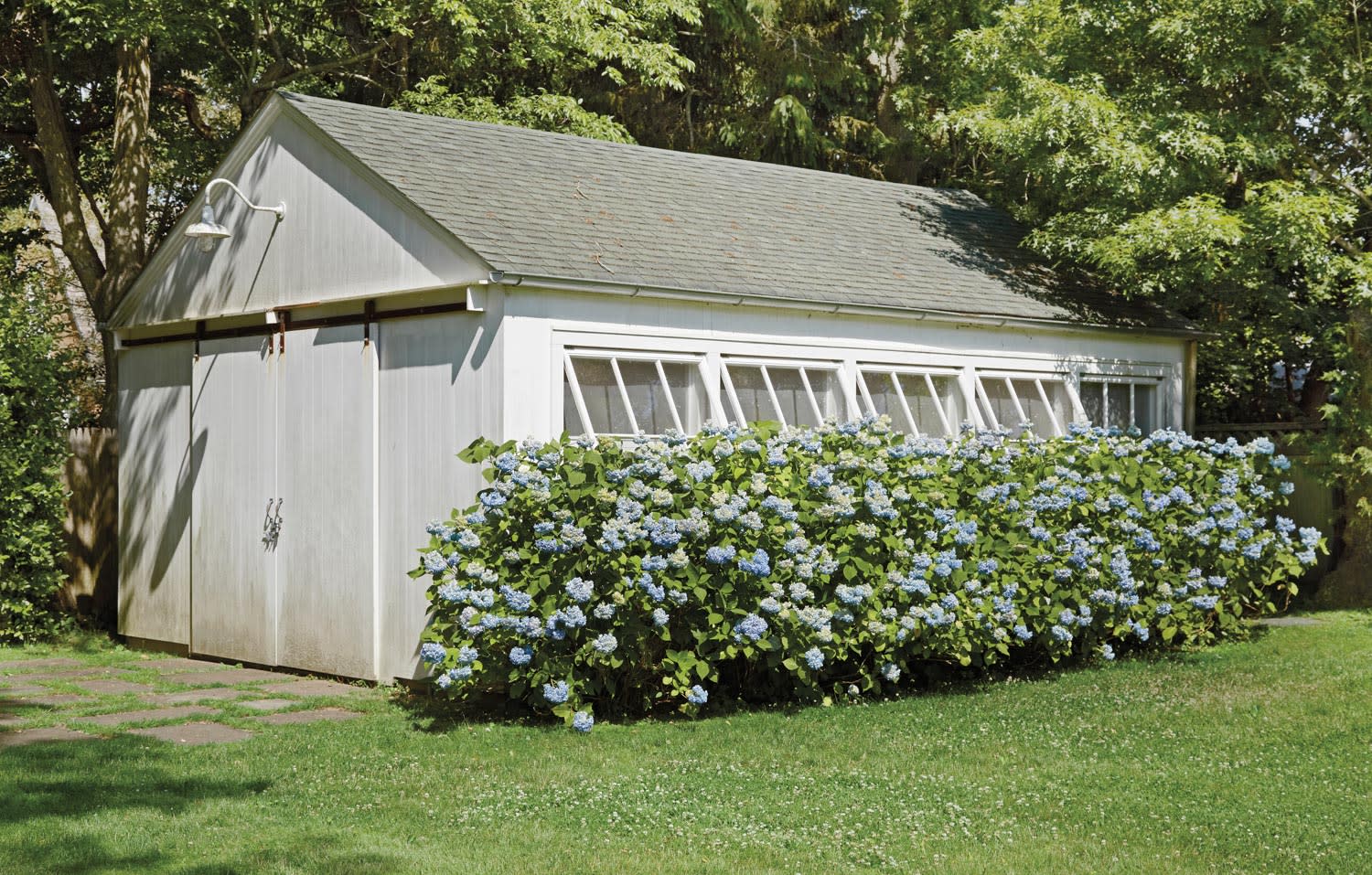 Outdoor summer setting with hydrangeas