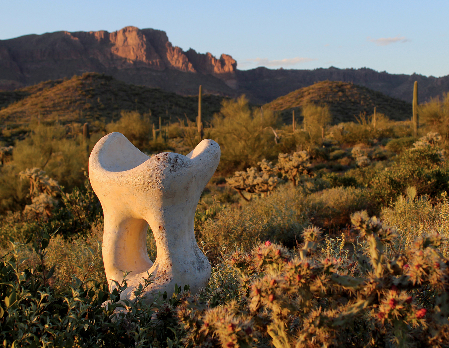 shapely stool in the Arizona desert