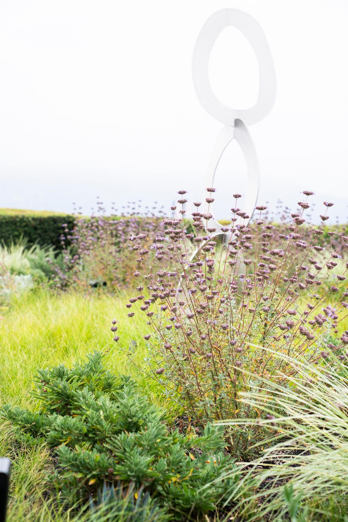 A white sculpture is displayed in a vibrant grassy field, highlighting its artistic form against the natural backdrop.