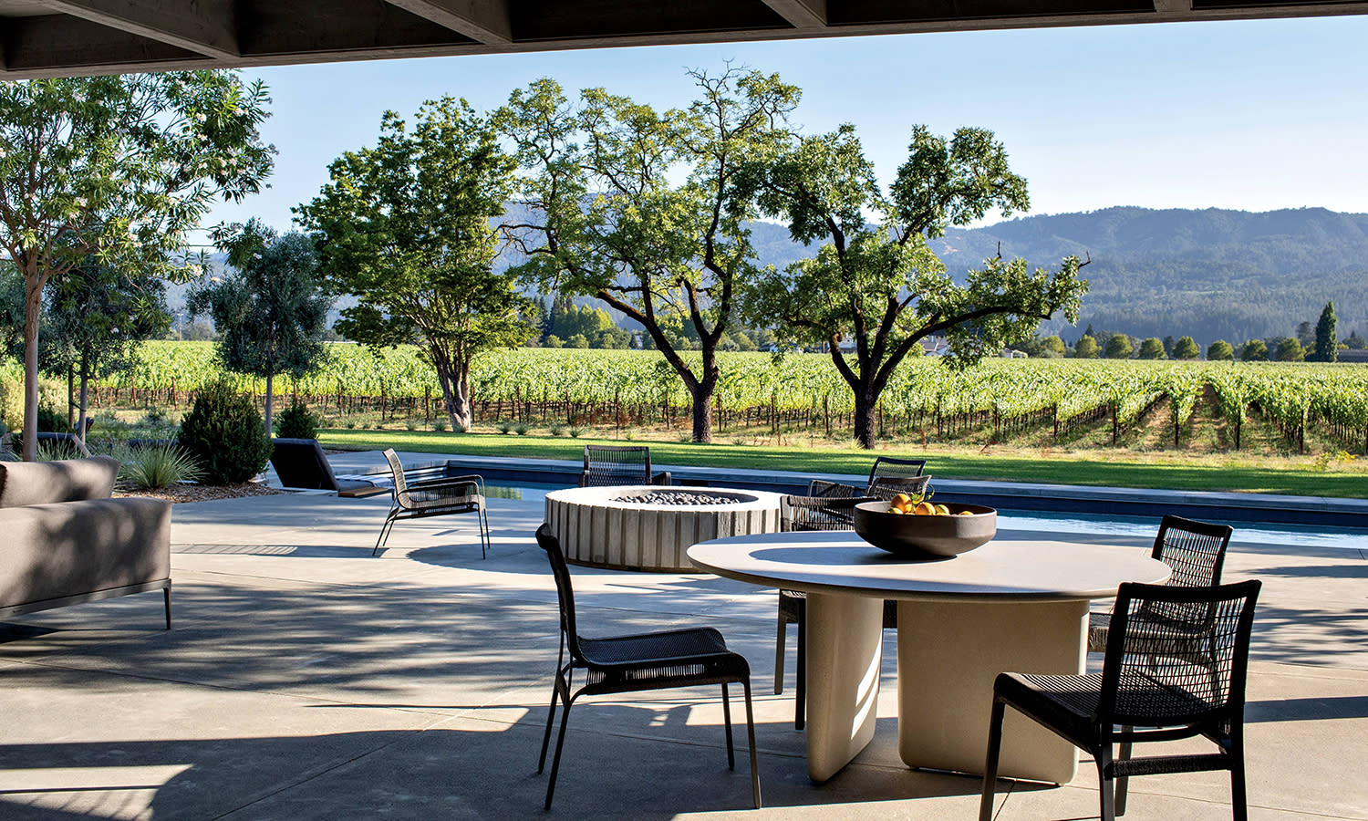 terrace with vineyard views