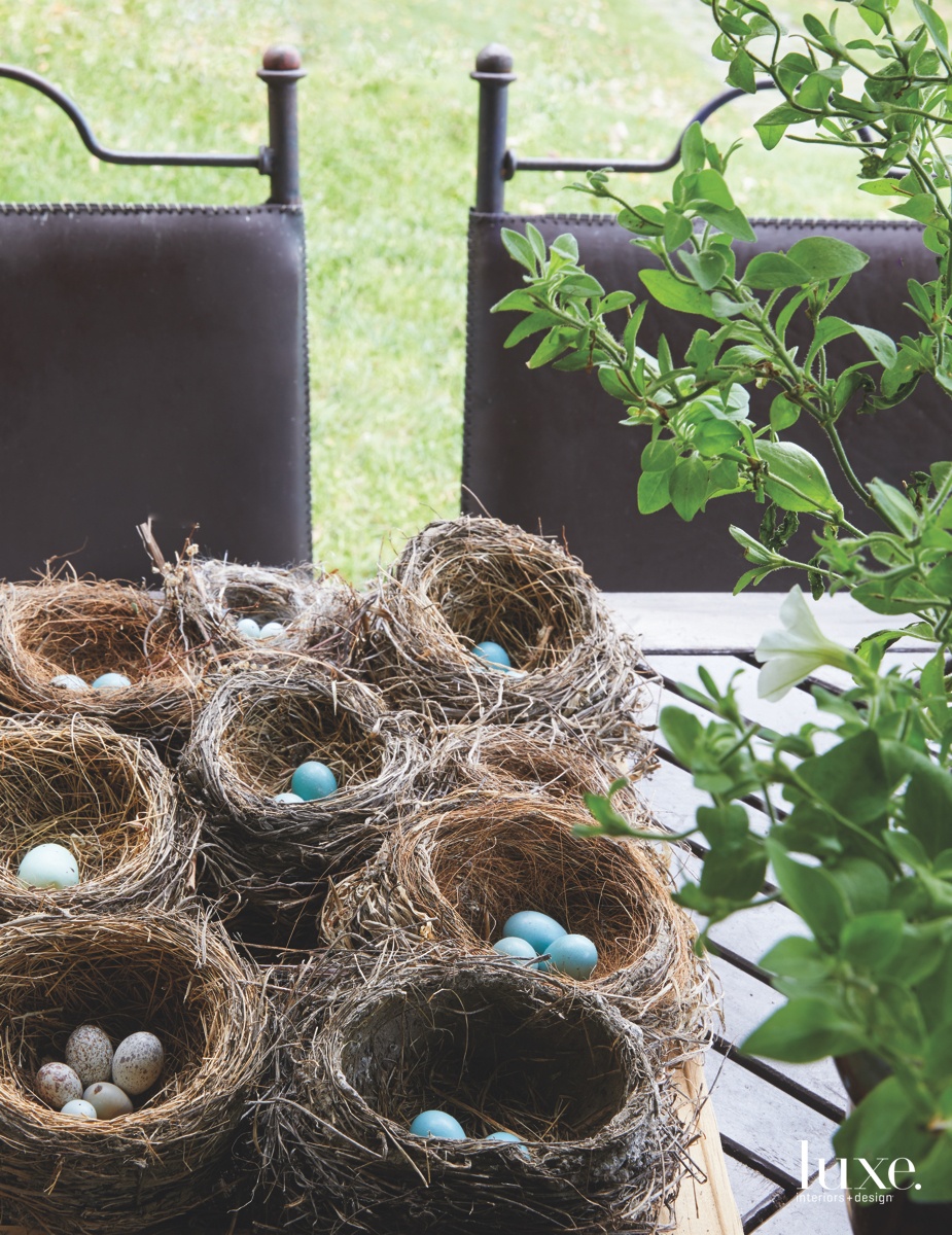 Nature, such as bird's nests throughout her property, serves as inspiration