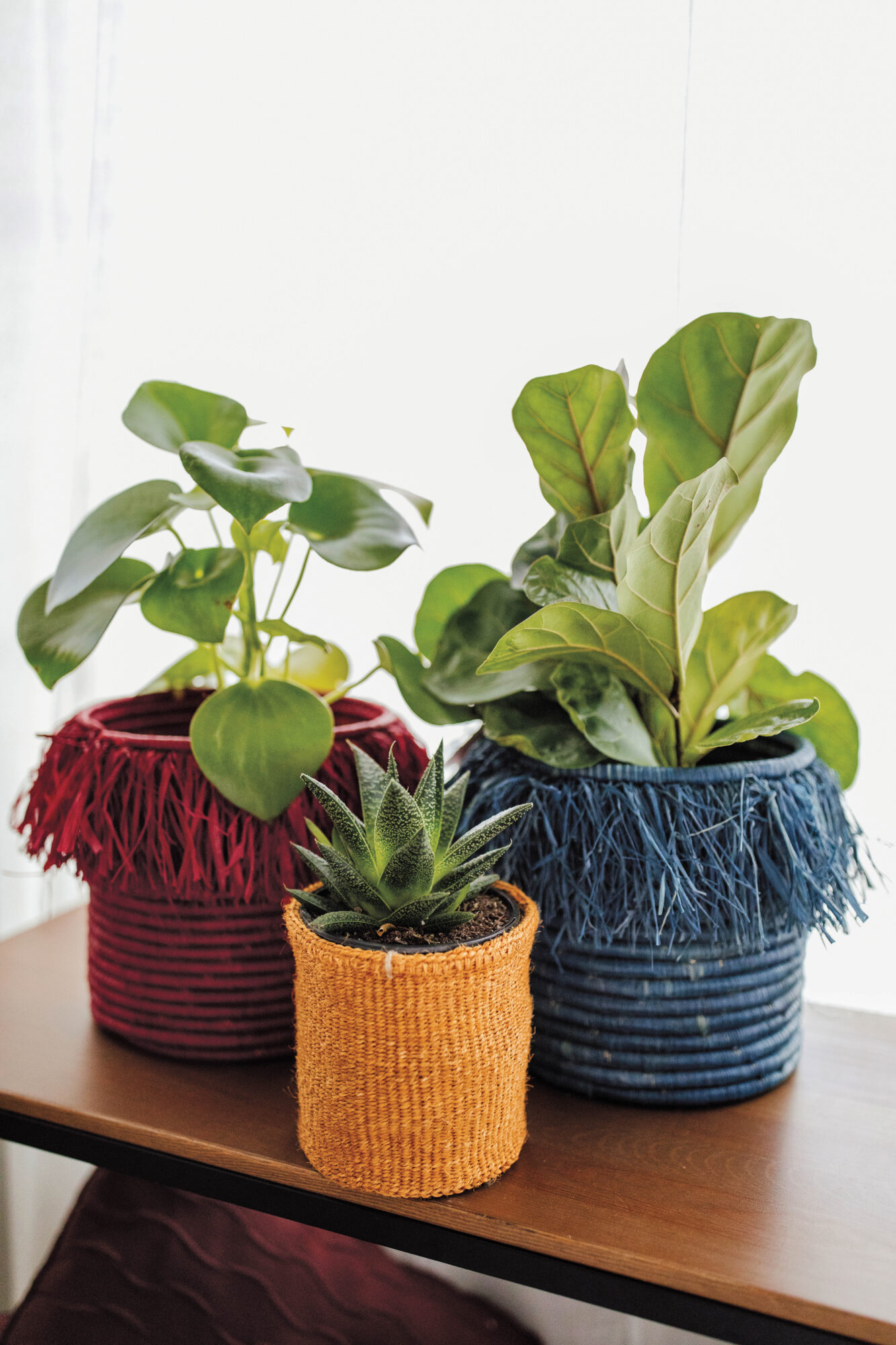 Three soften woven plant bots with plants