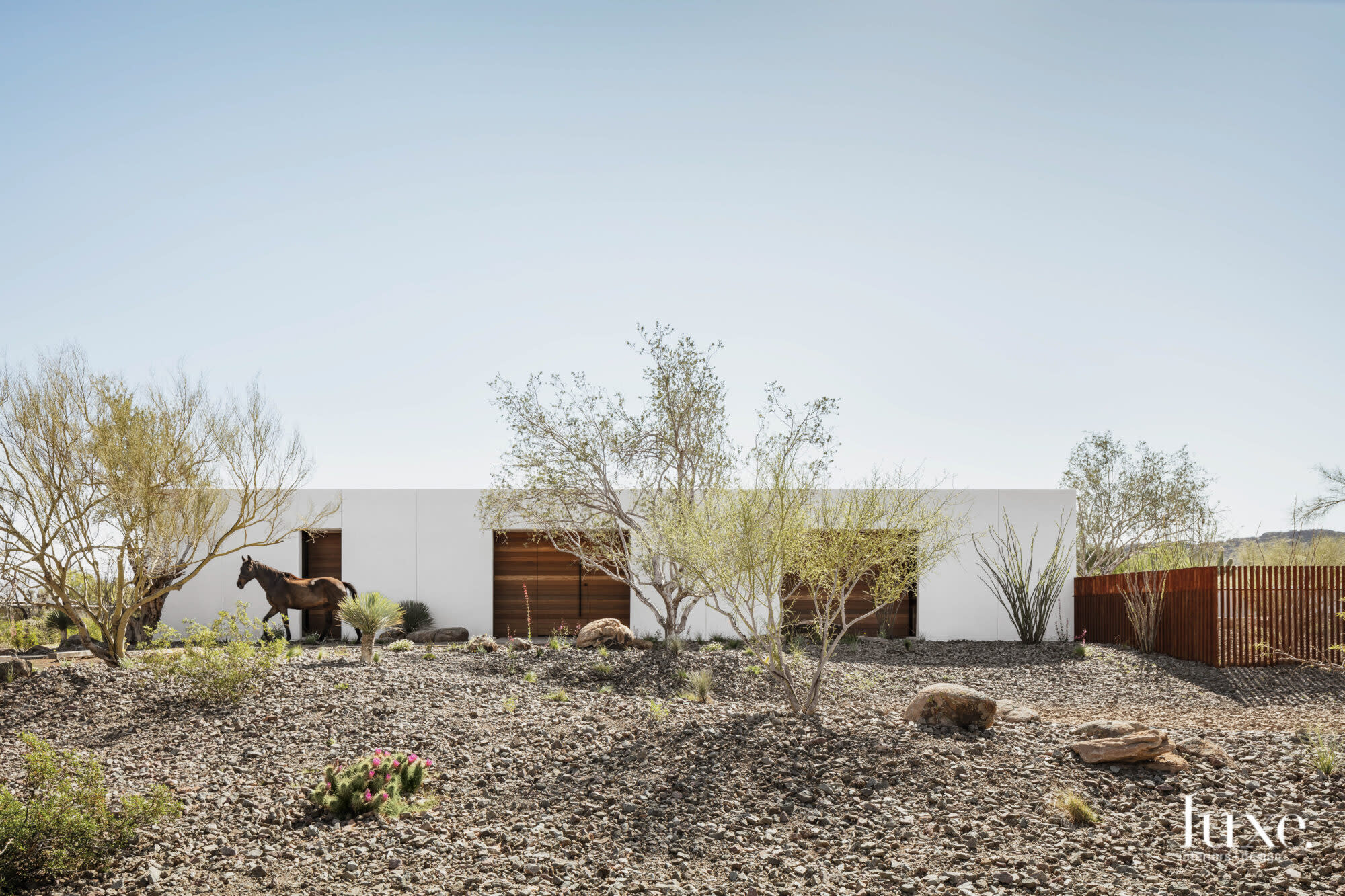 The outside of a modern, minimalist house in the Sonoran Desert.