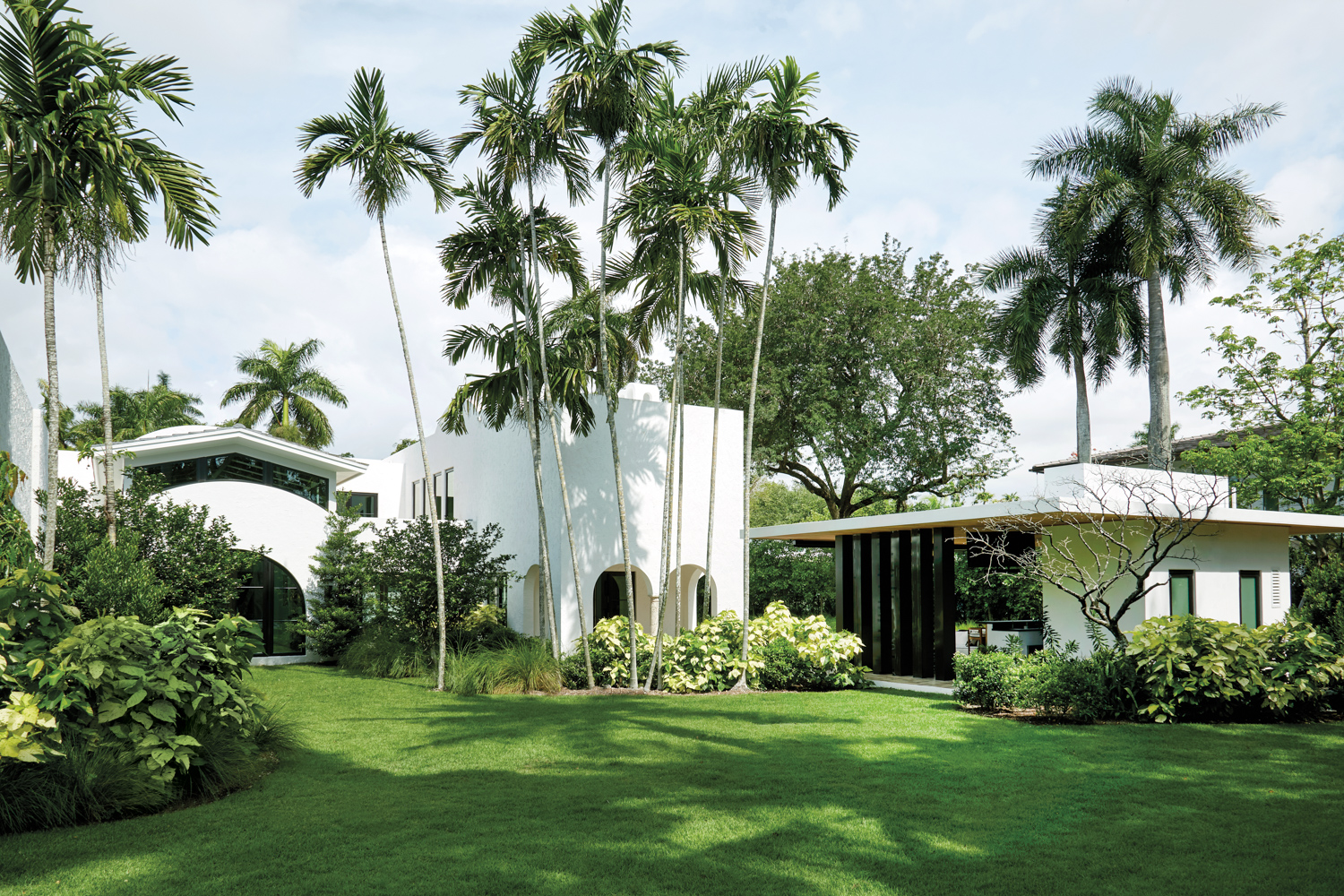 front exterior of white house with tropical palm trees serve as luxury garden design inspiration