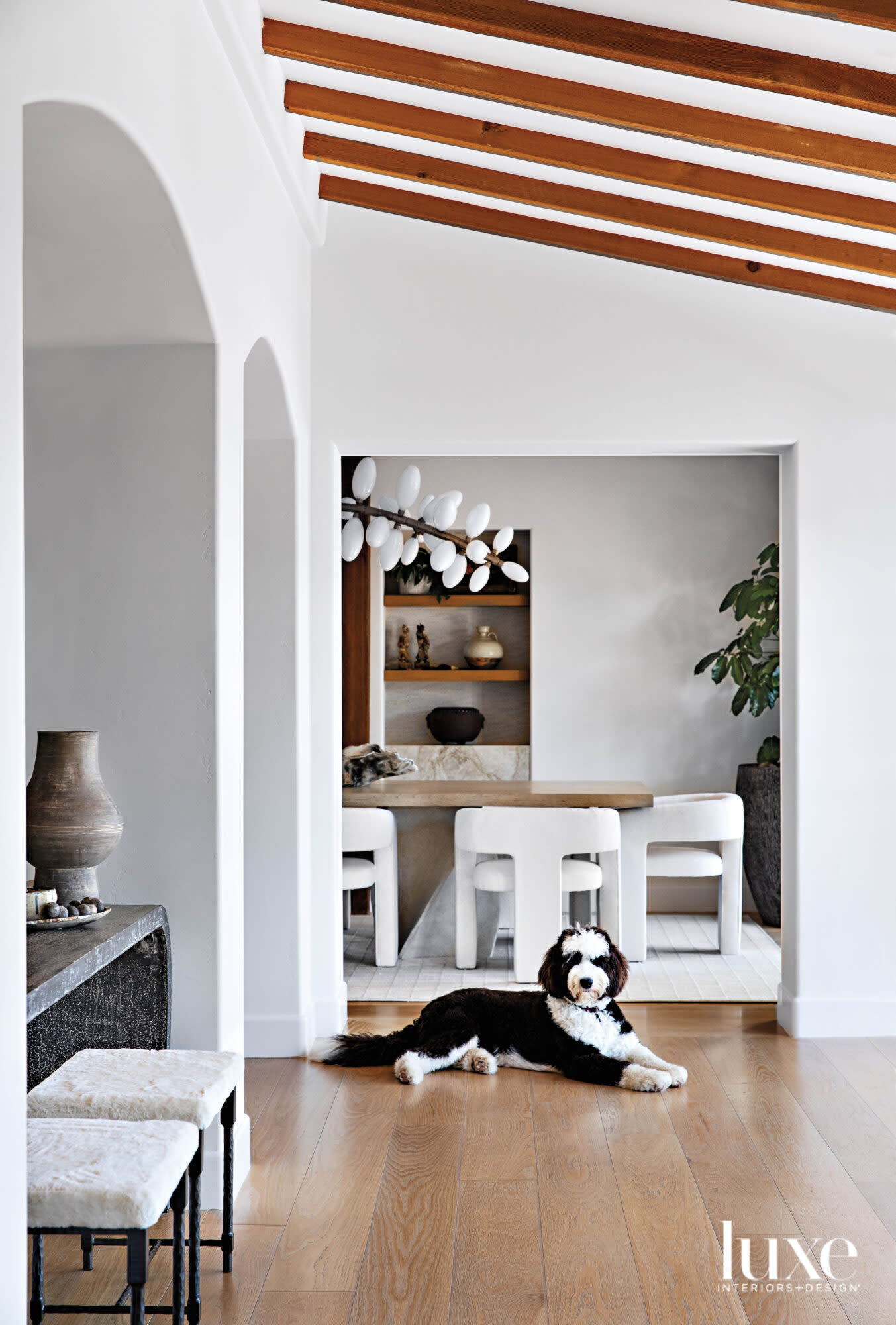 Entryway with dog resting in front of dining room