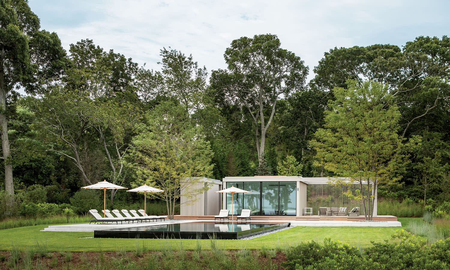 Modern glass house with pool and sun loungers, set in a lush, tree-filled landscape. The scene conveys tranquility and luxury.