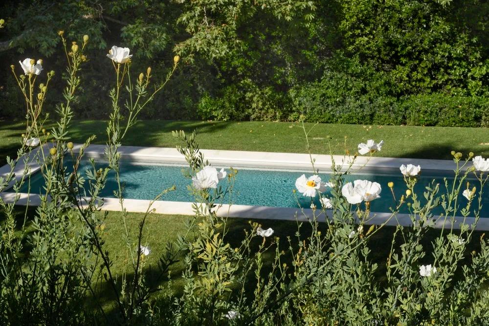 A serene pool surrounded by lush greenery, with tall white flowers in the foreground. The scene conveys tranquility and natural beauty.