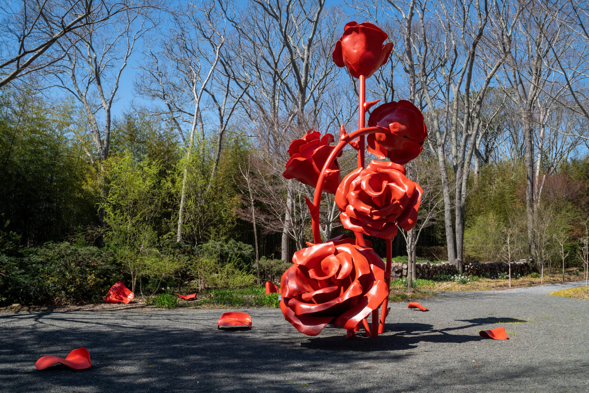 Red Rose Art Installation