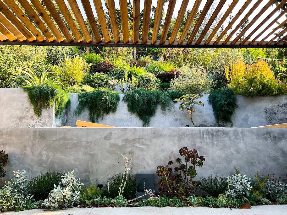 A concrete patio featuring lush plants and a wooden pergola, creating a serene outdoor space.