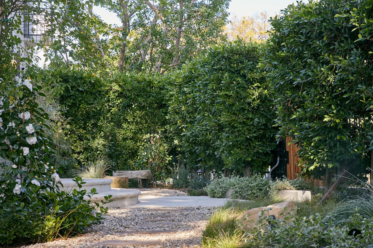 A tranquil garden scene with a pathway meandering through vibrant trees.