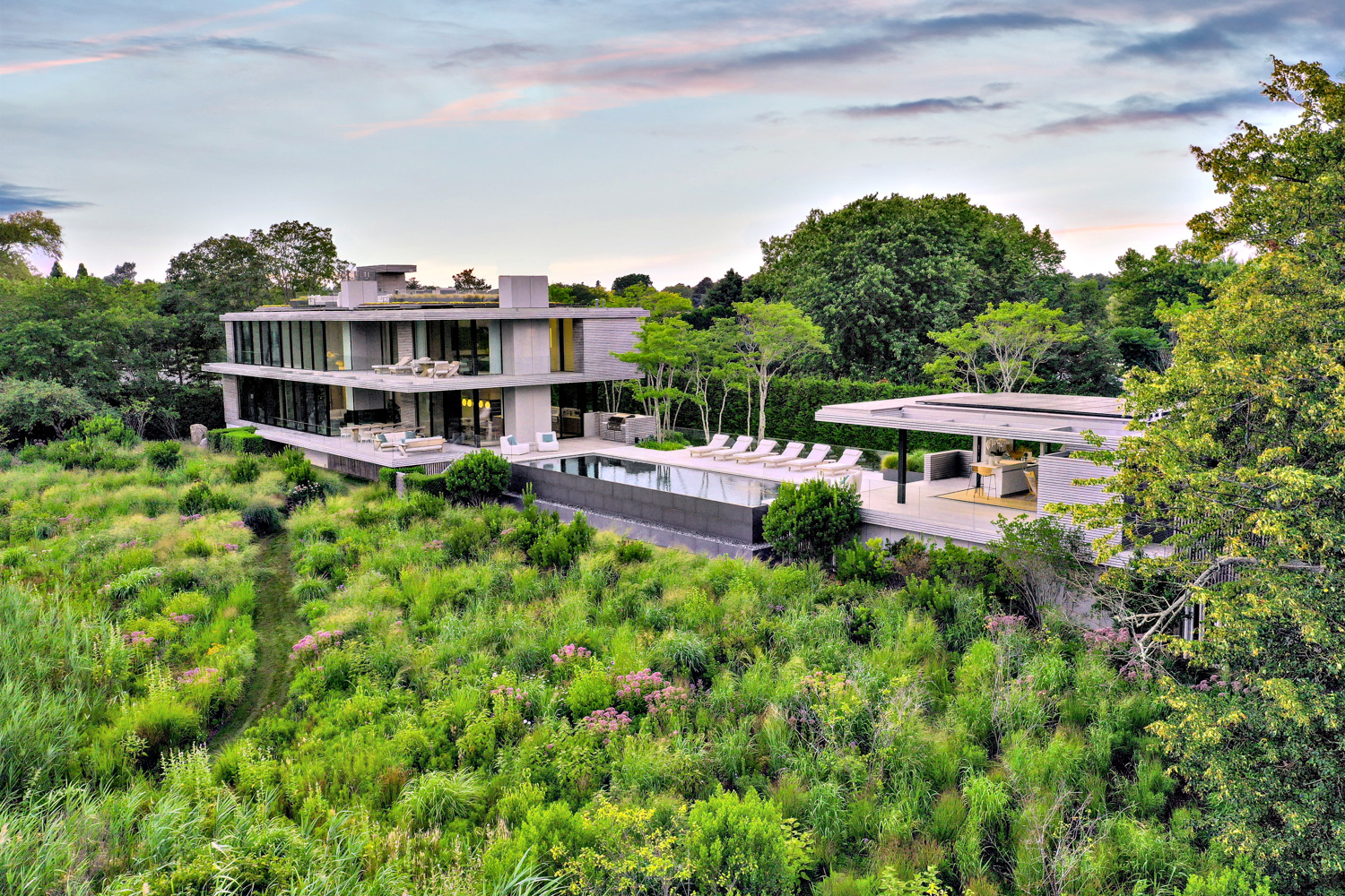 exterior of a contemporary home with an infinity pool surrounded by lush landscaping