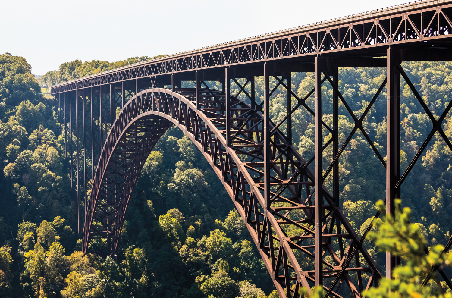 long brown arched bridge with the forest in the background