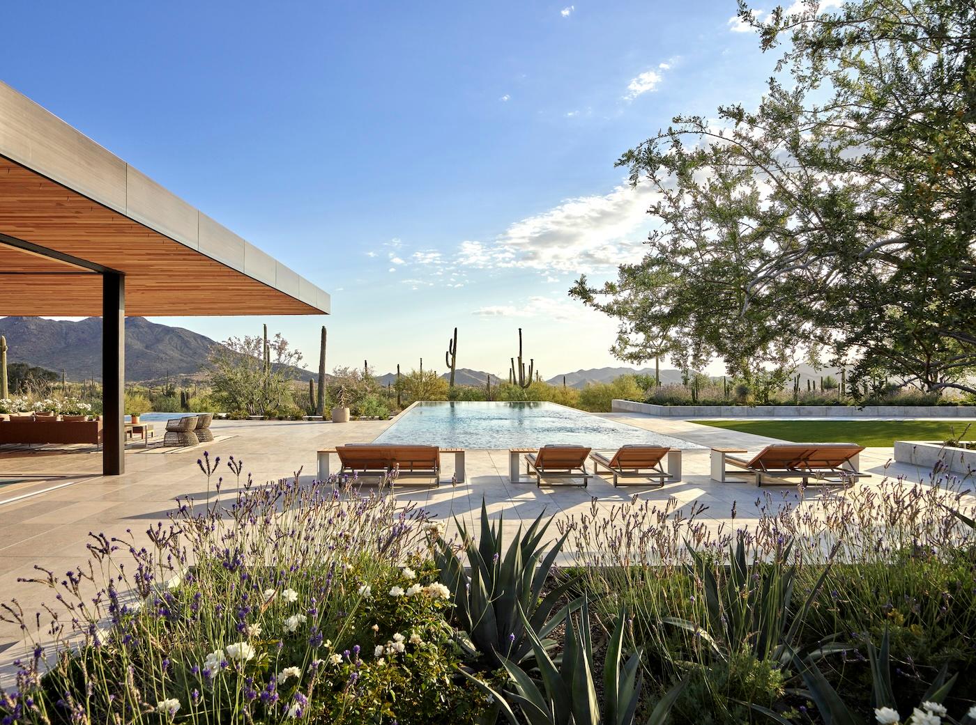 Modern patio with an infinity pool, surrounded by desert plants and cacti. Lounge chairs face mountains under a clear, sunny sky, conveying relaxation.