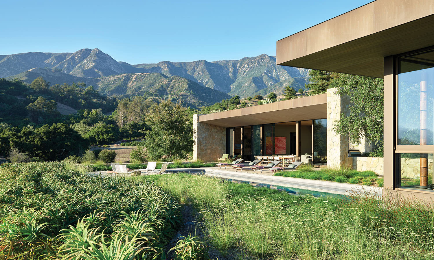 rooftop garden on a modern California home