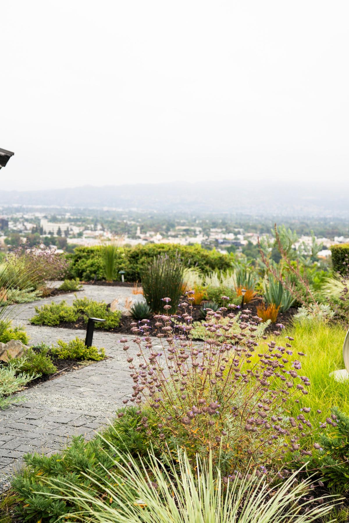 A tranquil garden scene with a bench nestled among lush greenery and colorful plants.