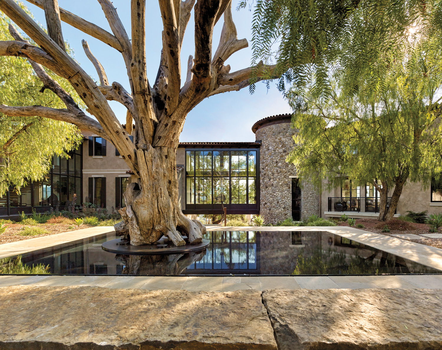 tree in monumental Napa Valley sculpture garden