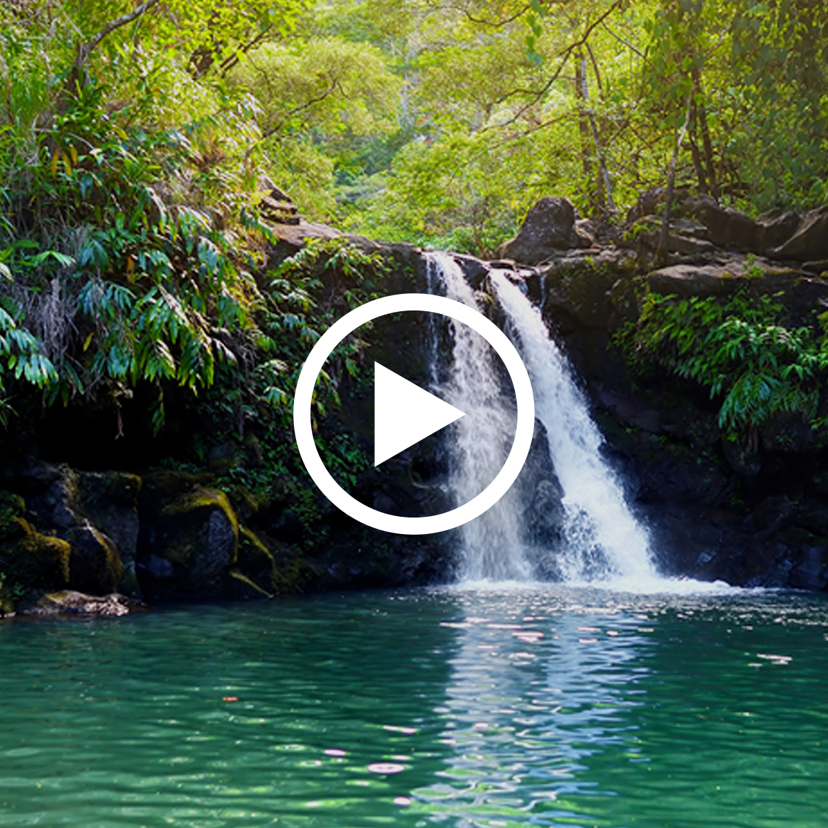 designtv maui waterfall