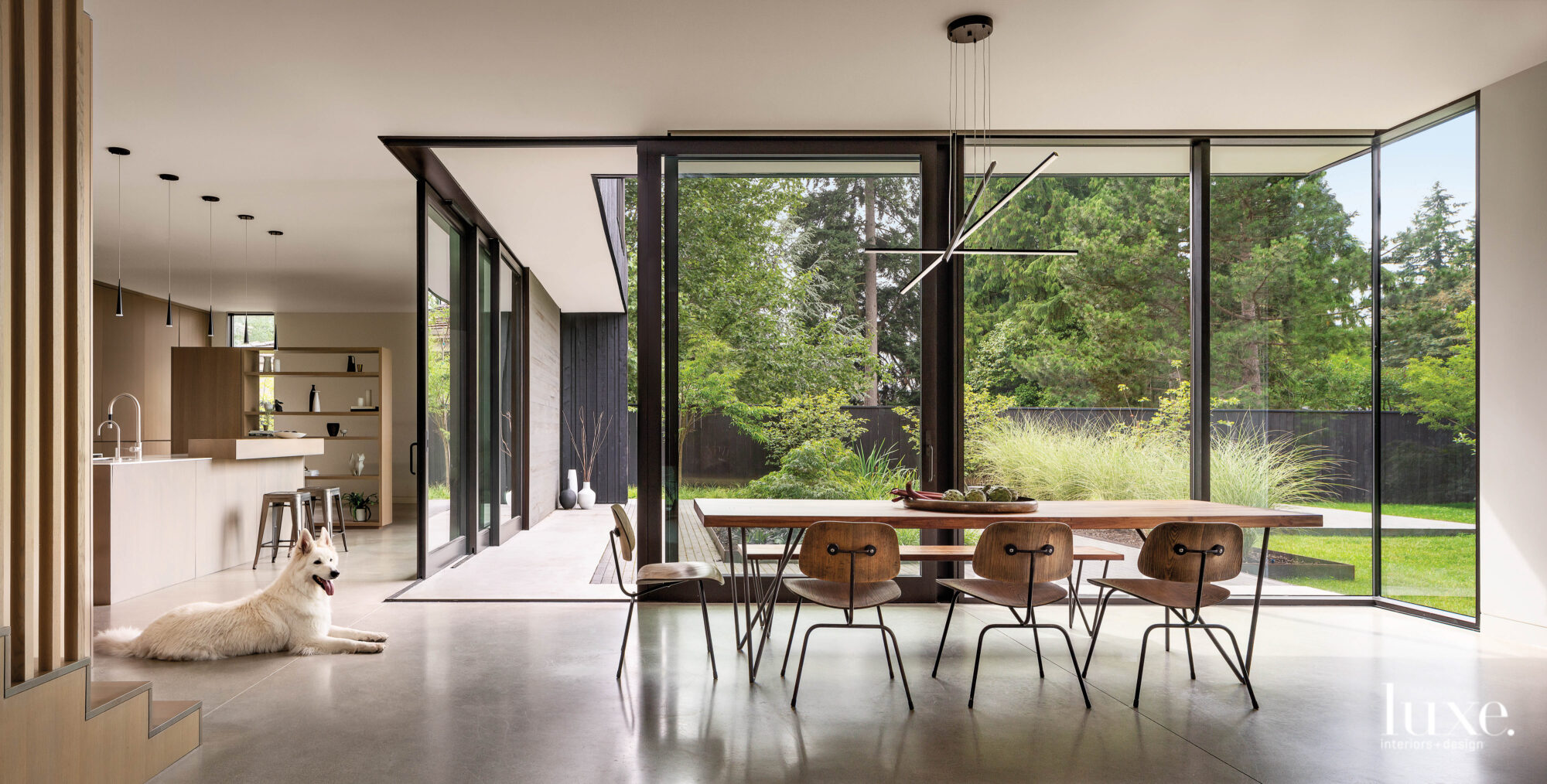 Dining and kitchen view to outside with dog sitting