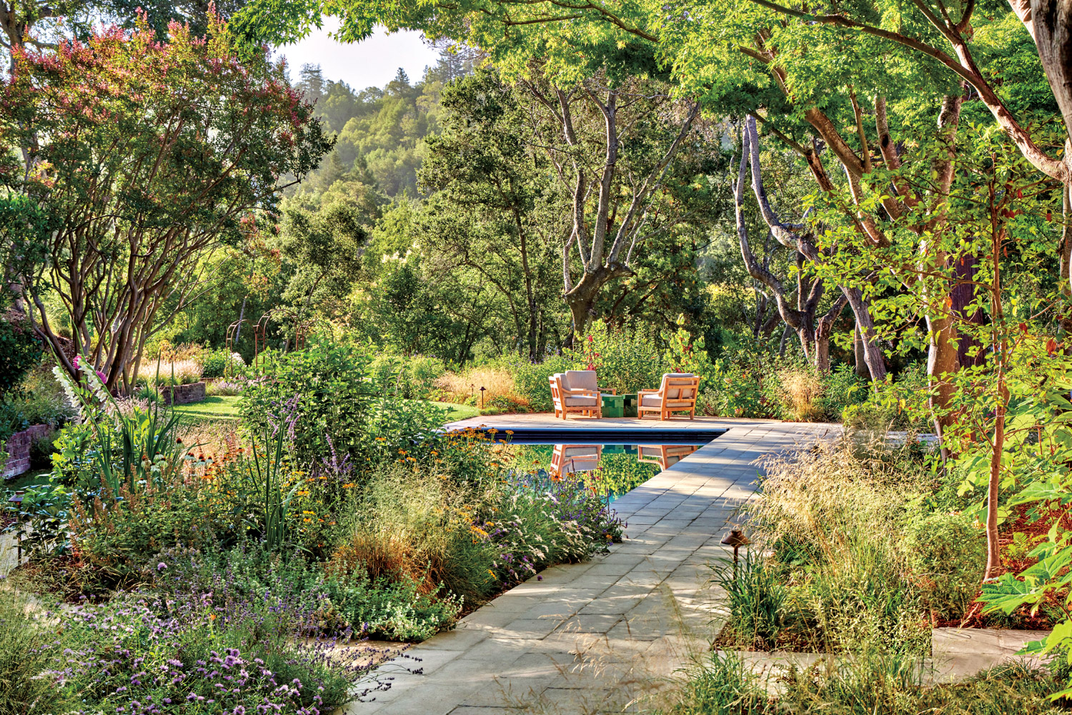 mature oak trees surround an outdoor patio