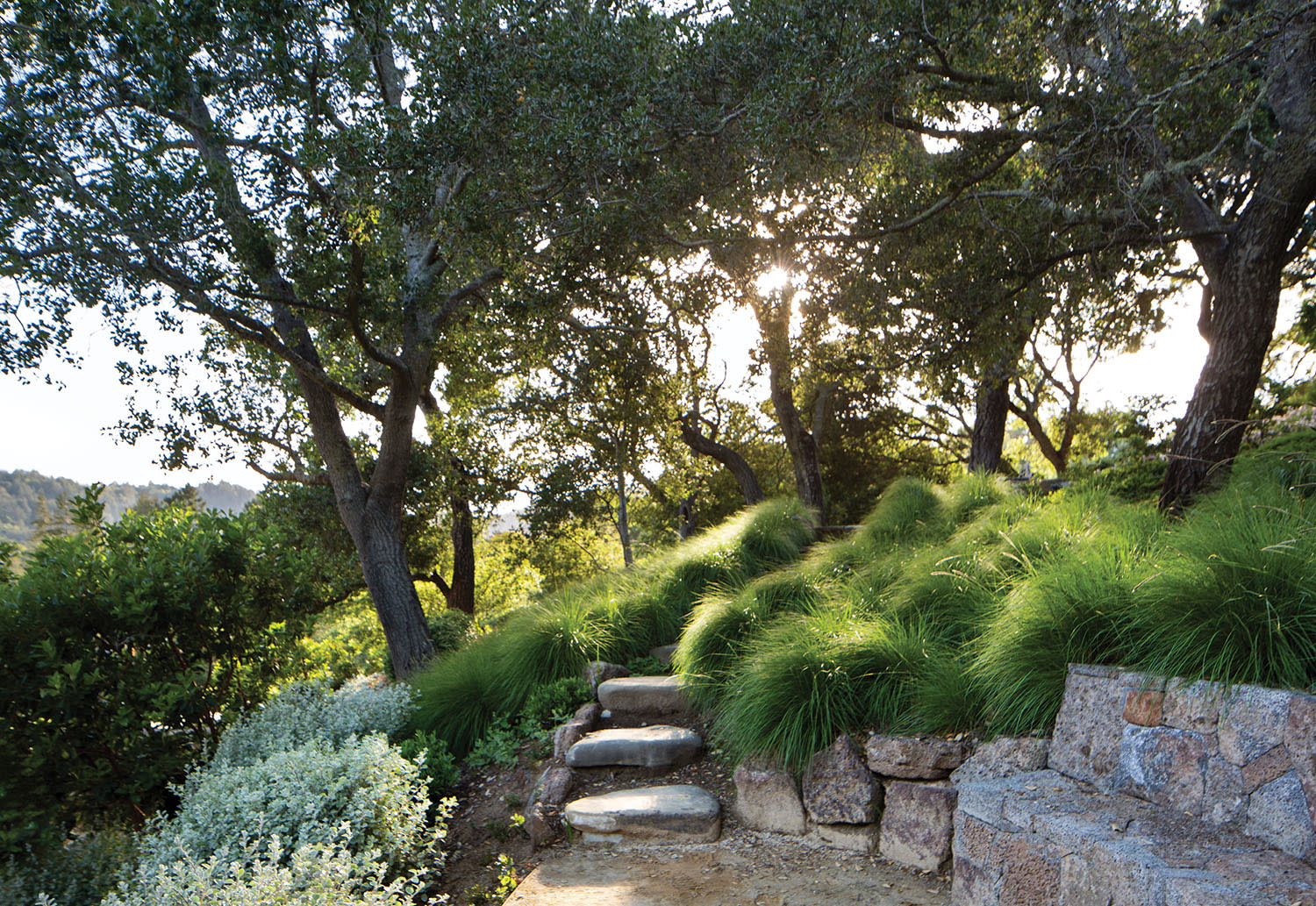 stone pathway among lush California landscape at a contemporary home