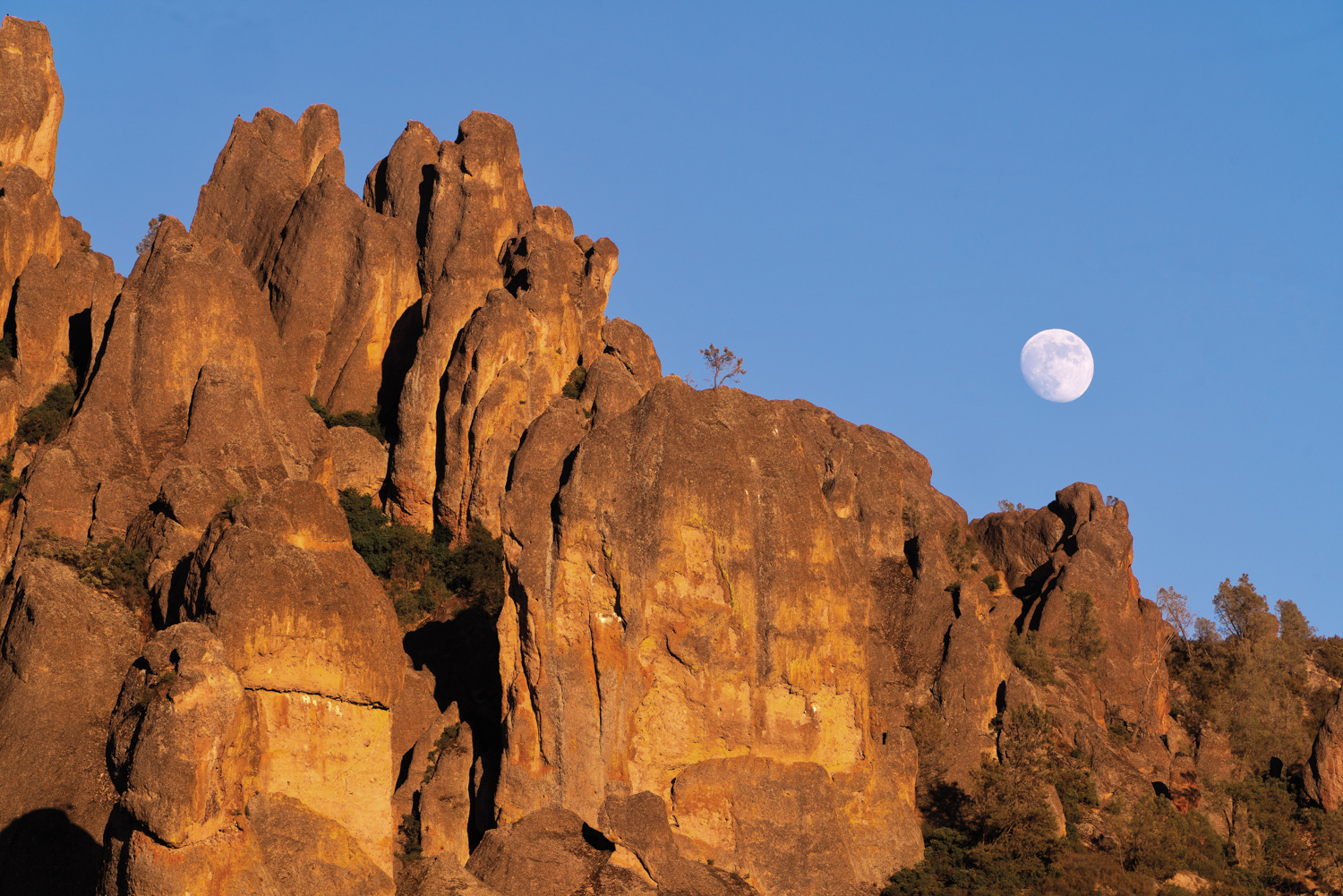 large brown mountain with lone tree on top and the moon in the sky