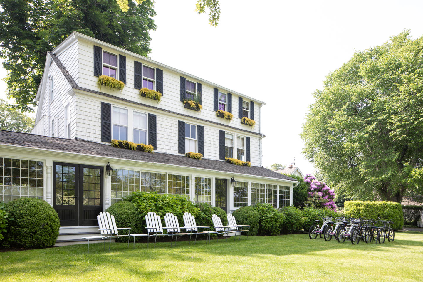 back lawn of the Maidstone Hotel in East Hamptons