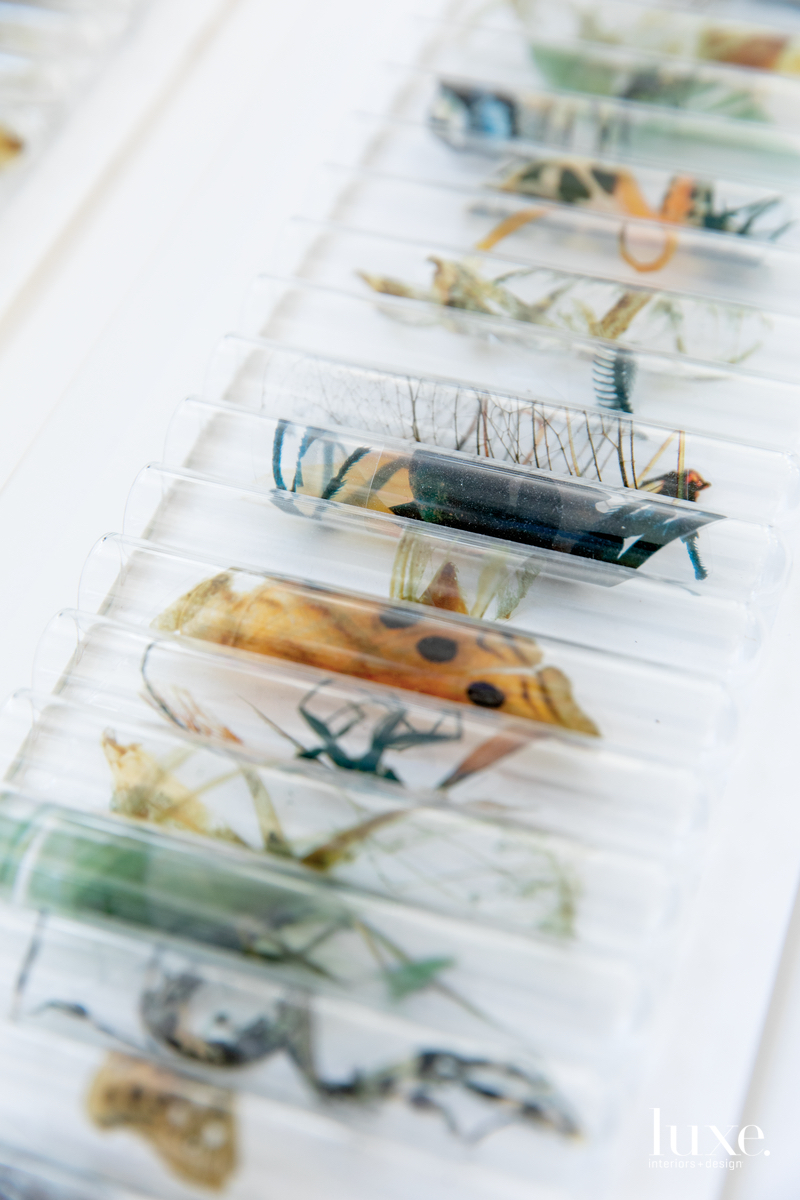 Test tubes with images of specimens native to Jerome will eventually be installed en masse.