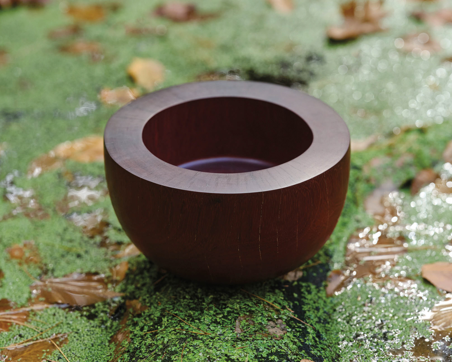 A wood bowl on a grassy landscape