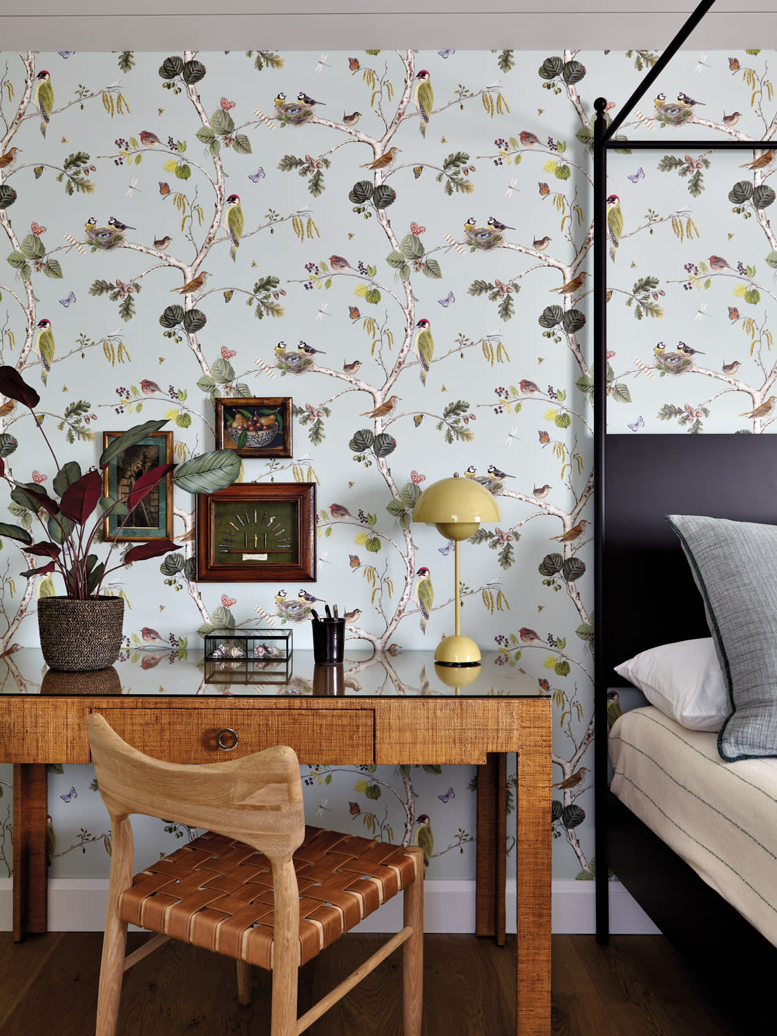 writing desk against aviary wallpaper in a guest bedroom