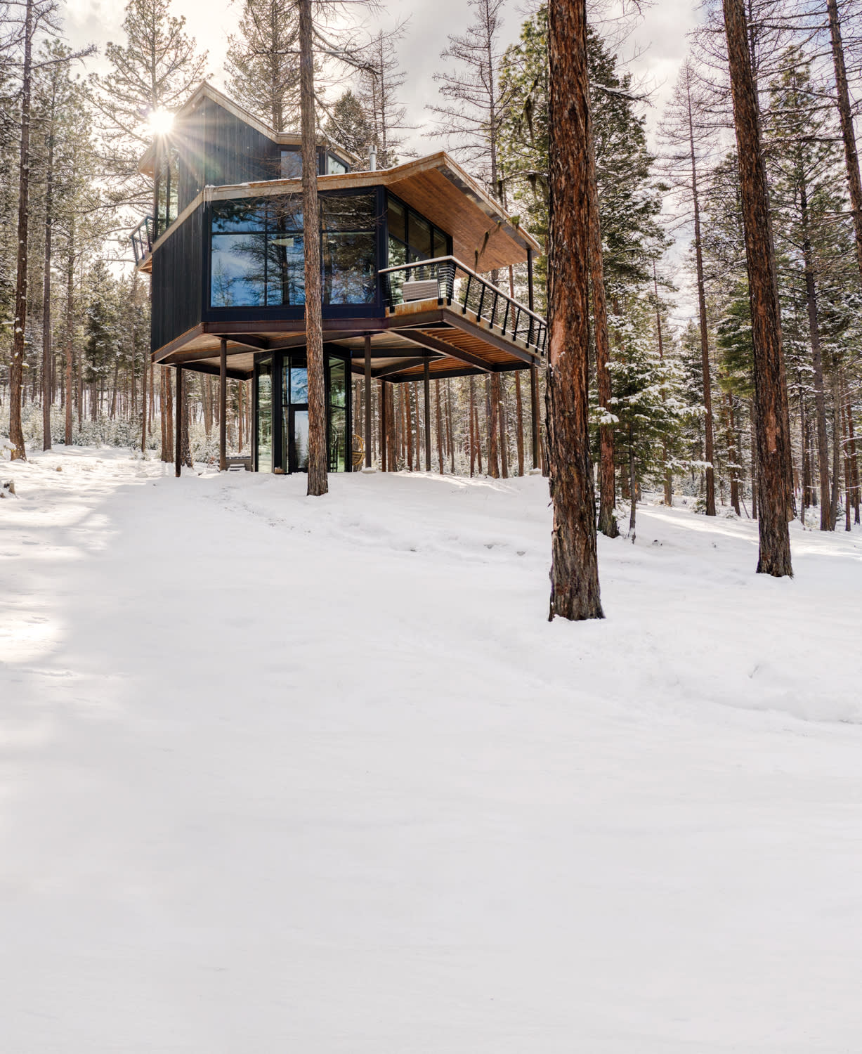 glass-boxed villa on stilts in Montana forest