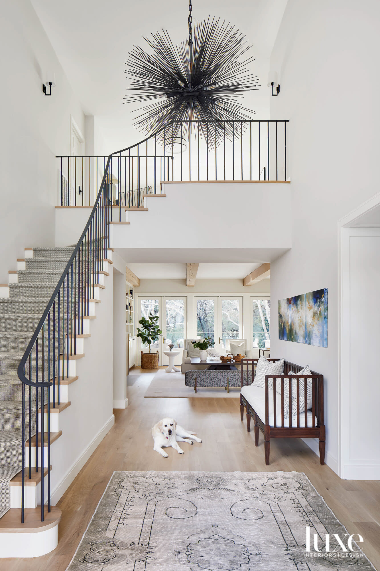 Family dog lounging in airy foyer.